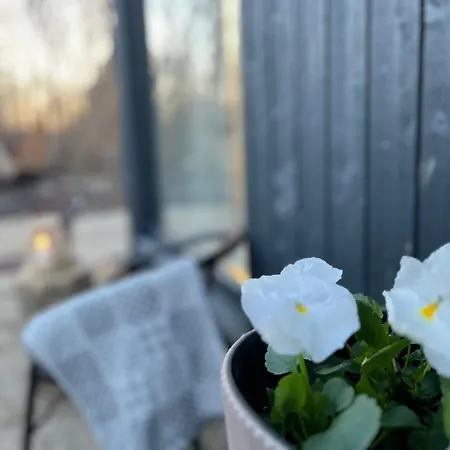 Seaside & Sauna On Werder Peninsula Сasa de vacaciones Virtsu