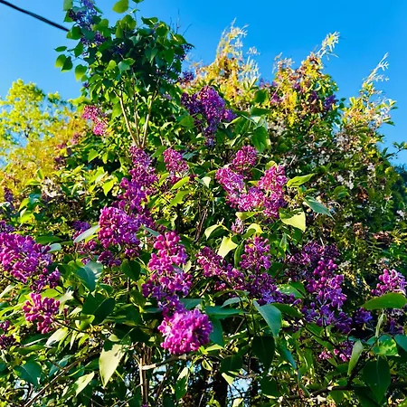 Vakantiehuis Seaside On Werder Peninsula *