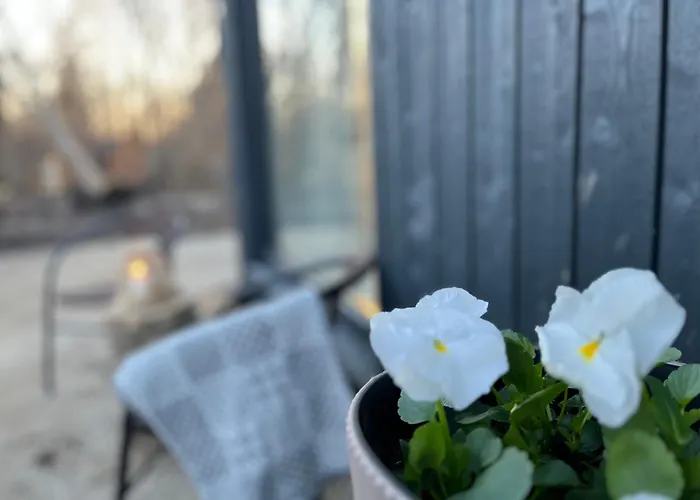 Seaside & Sauna On Werder Peninsula Holiday home Virtsu