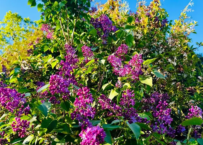 Holiday home Seaside & Sauna On Werder Peninsula *